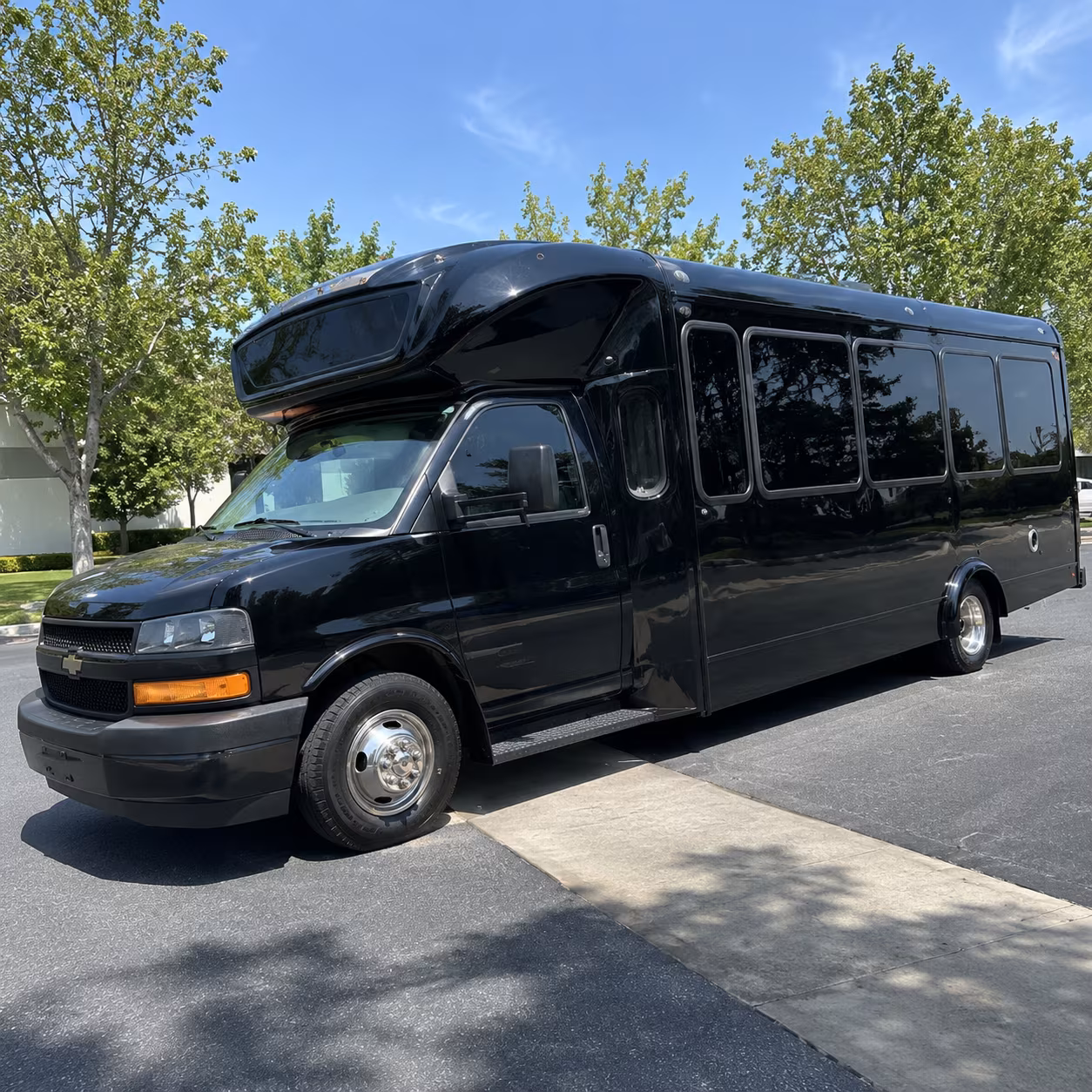 la mirada 15 passenger party bus