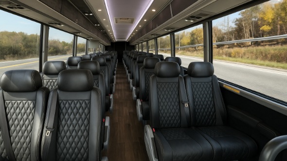 la mirada 15 passenger minibus rental