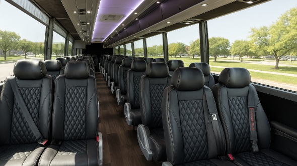 la mirada 28 passenger minibus rental